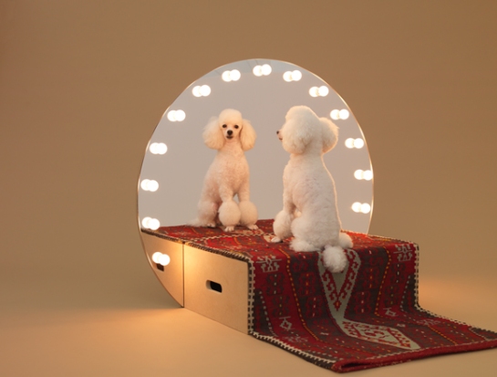 konstantin-grcic - architecture for dogs - surface and surface