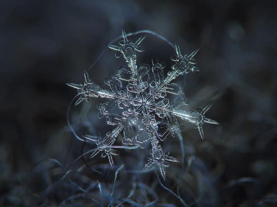 Alexey Kljatov - Macro Snowflake Photos - surface and surface
