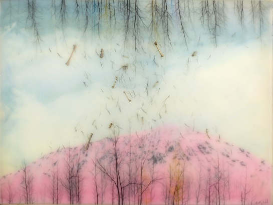 Brooks Shane Salzwedel - surface and surface